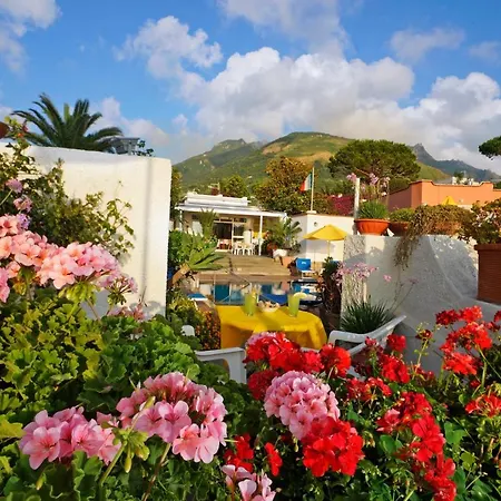 Hotel Mena Forio (Isola d'Ischia)