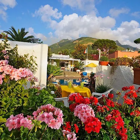 Mena Forio di Ischia