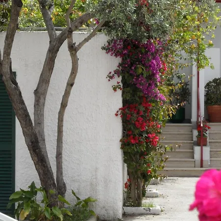 Ξενοδοχείο Mena Forio di Ischia