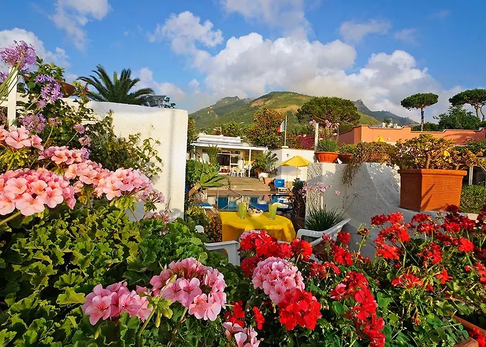 Mena Forio di Ischia