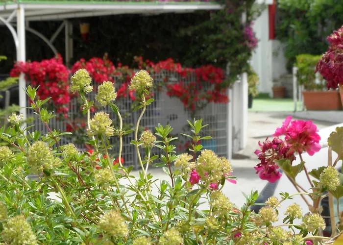 Mena 3* Forio di Ischia