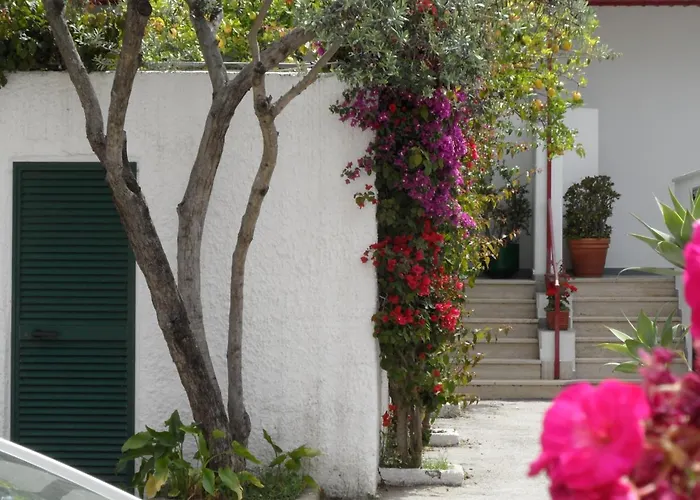 Ξενοδοχείο Mena Forio di Ischia